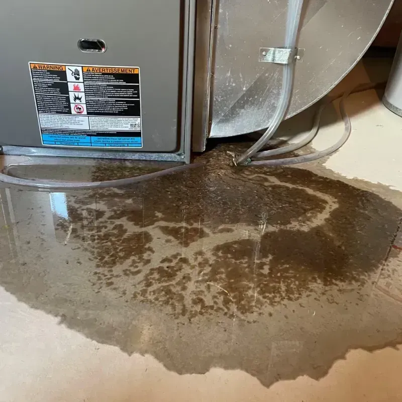 Appliance Leak Cleanup in Caledonia, MN